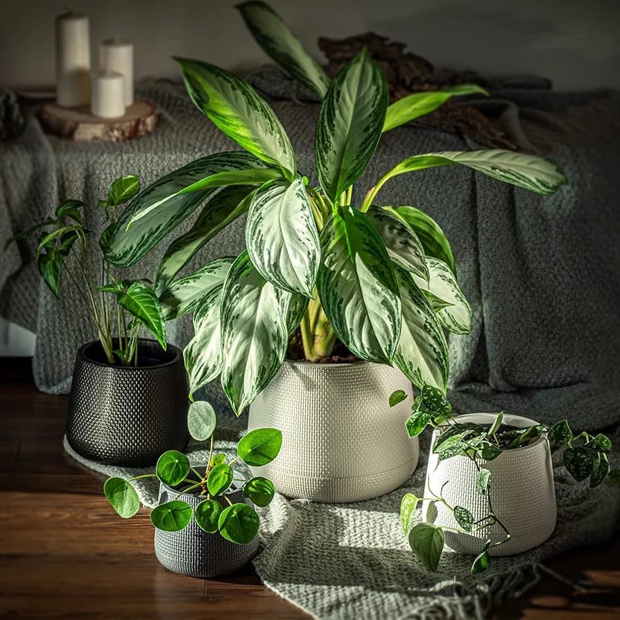 Cache pot en plastique-3