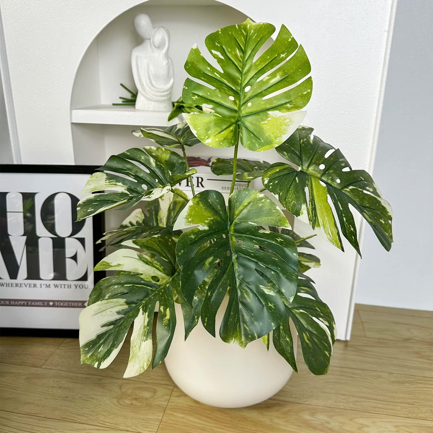 Plante d intérieur