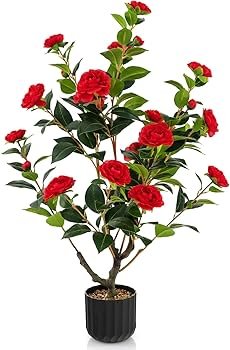 Plantes artificielles-3