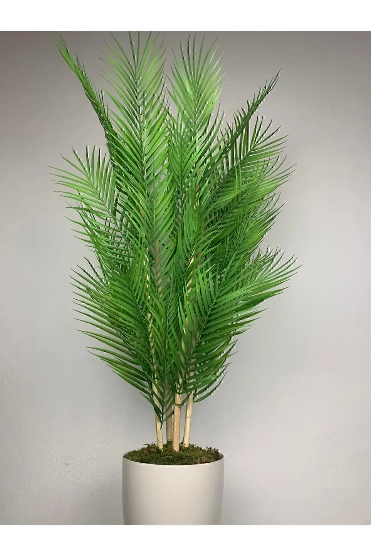 Plante artificielle-6