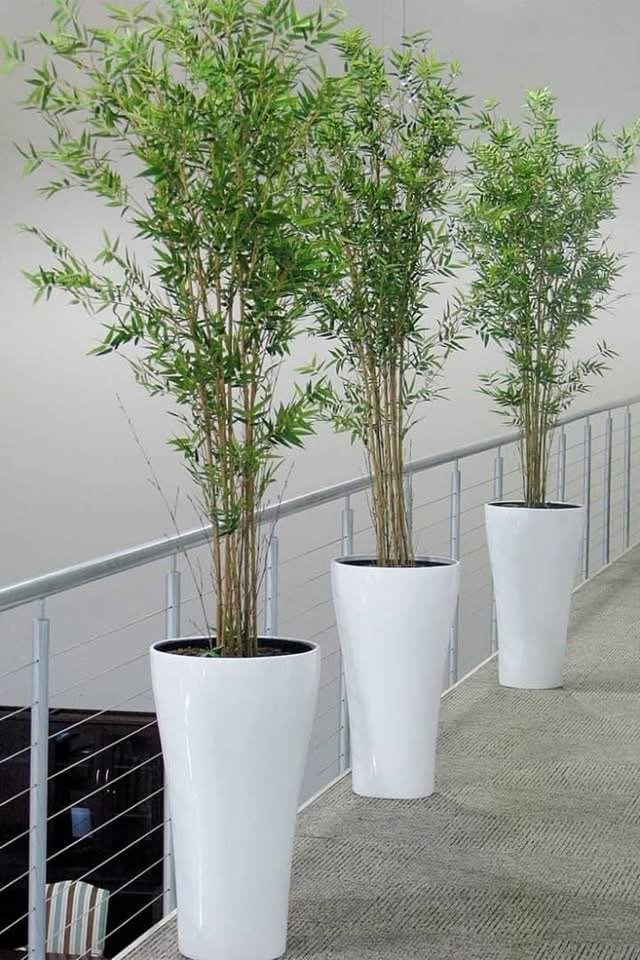 Bambou artificielle avec cache pot