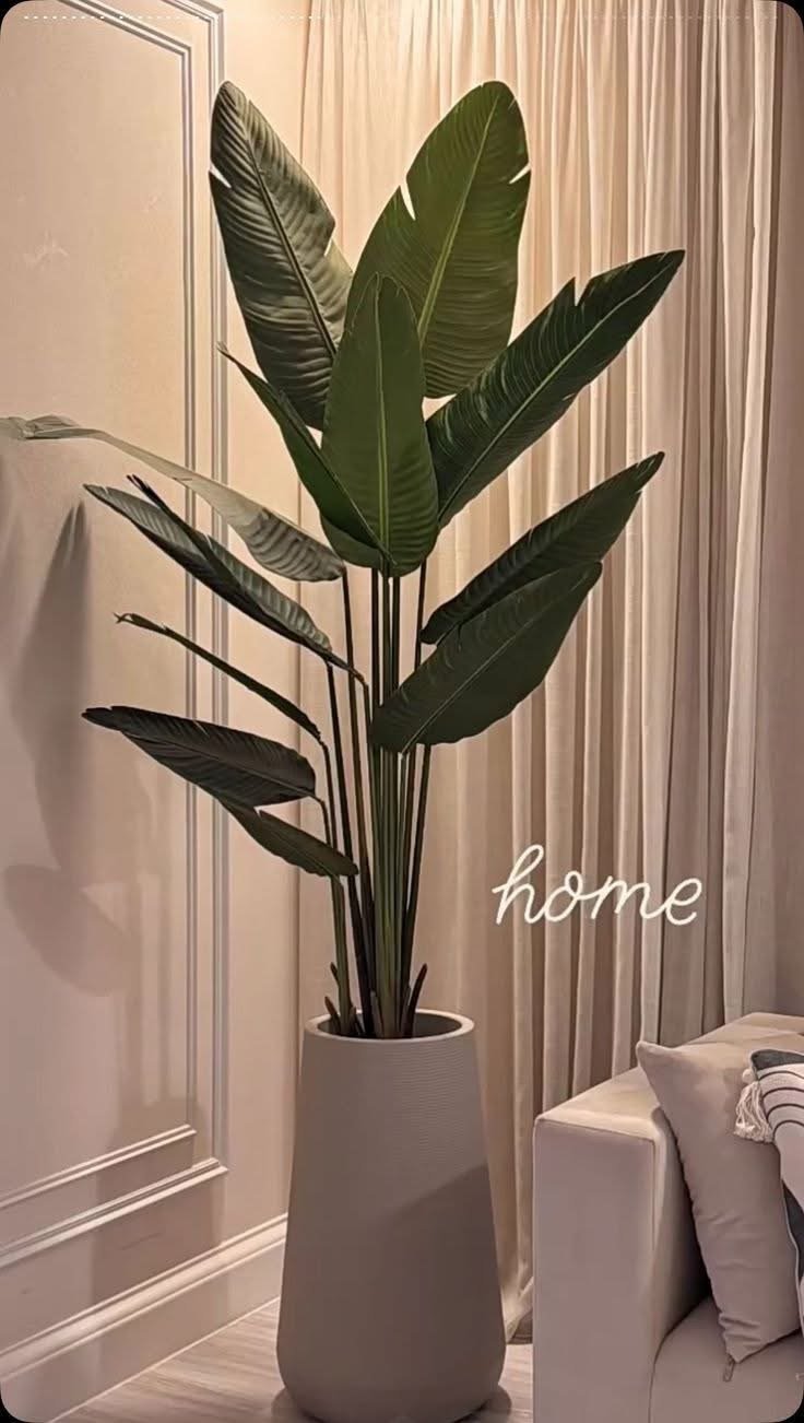 Cache pot plus plante