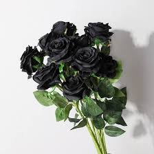 Rose noir