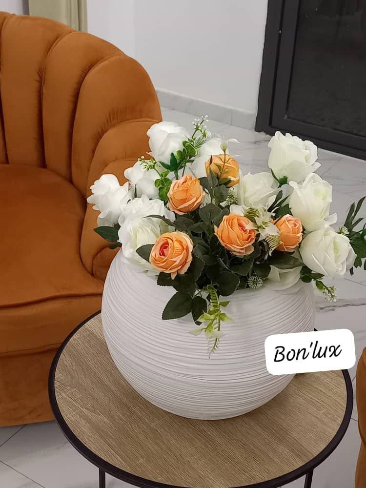 Création de Bon’lux-2