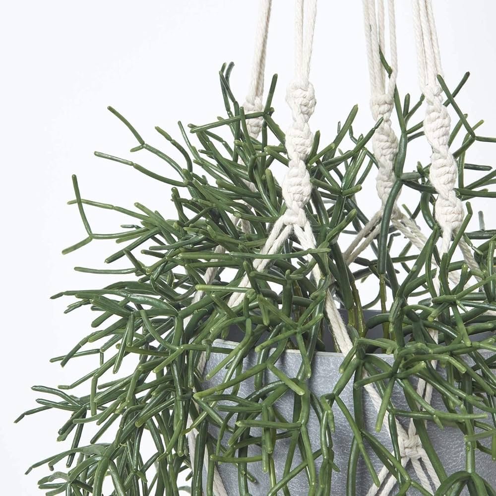 Pot de fleurs suspendu