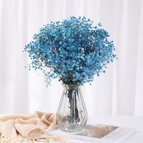 Fleur naturelle séchée