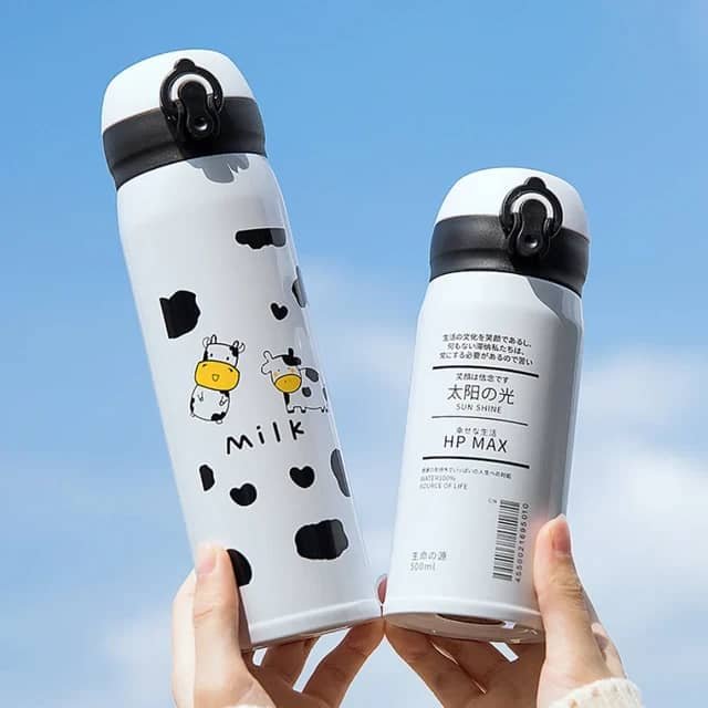 Thermos inoxydable